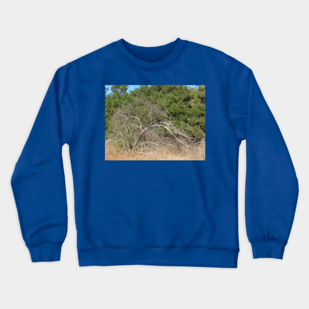 Which way do I grow? Crewneck Sweatshirt by FriendlyComputerHelp